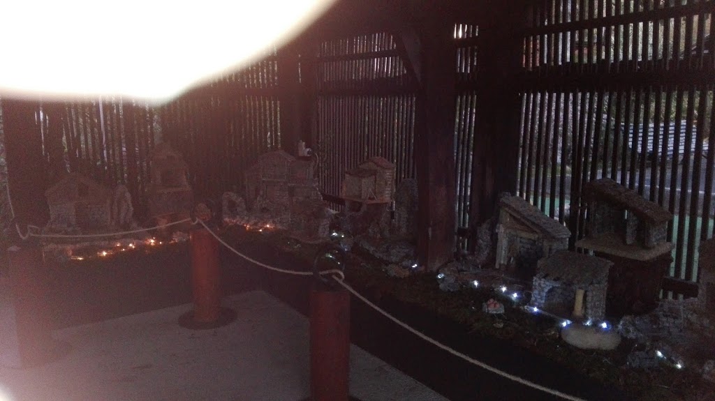 Jardín botánico Fundación Sales - Foto 1