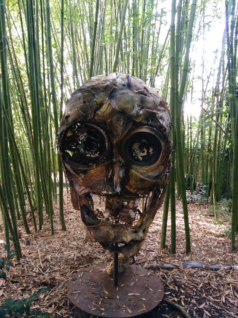 Jardín botánico Fundación Sales 12