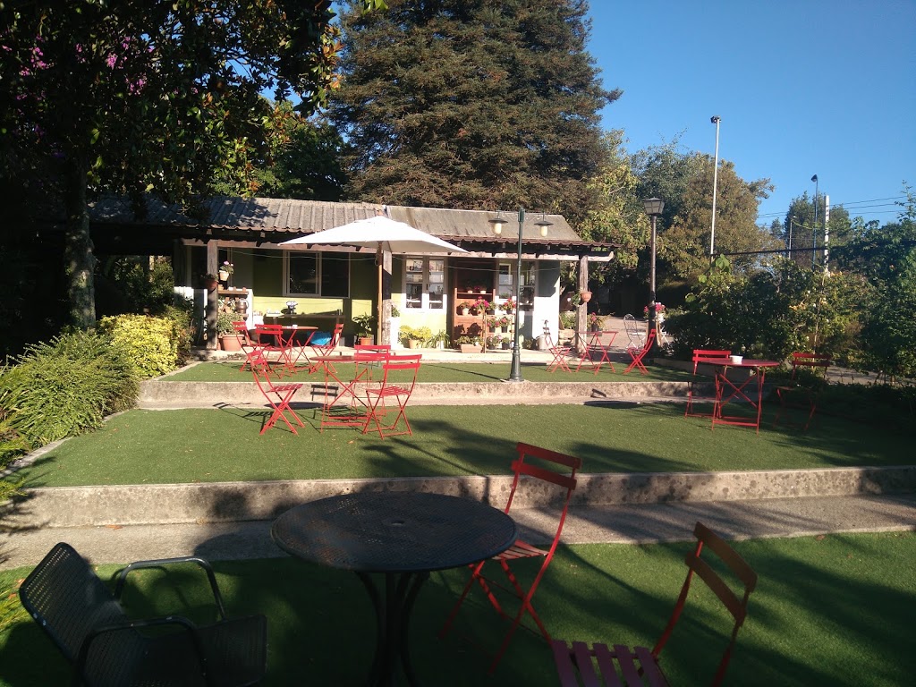 Jardín botánico Fundación Sales