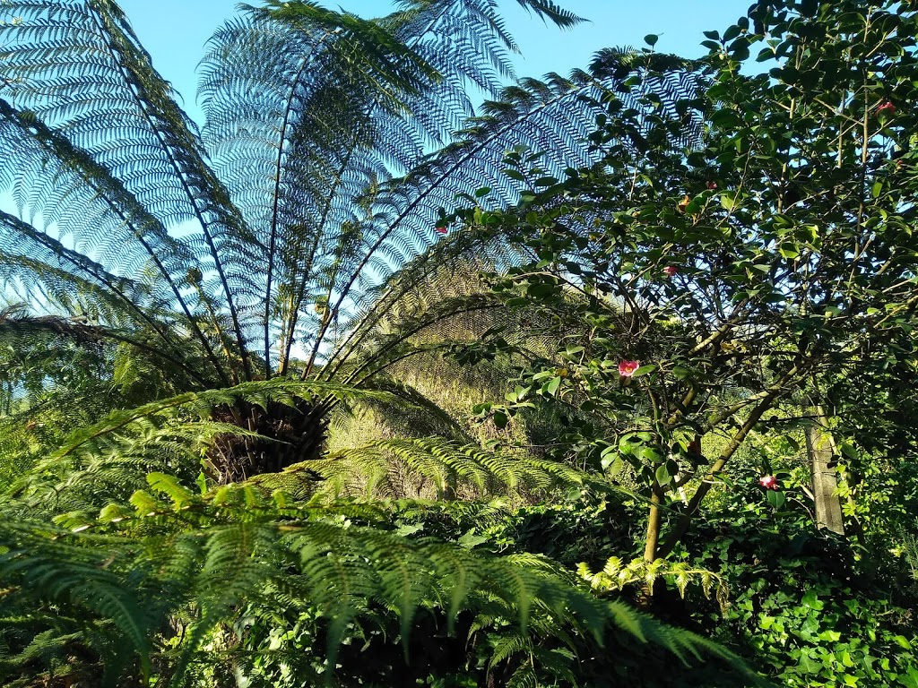 Jardín botánico Fundación Sales 15