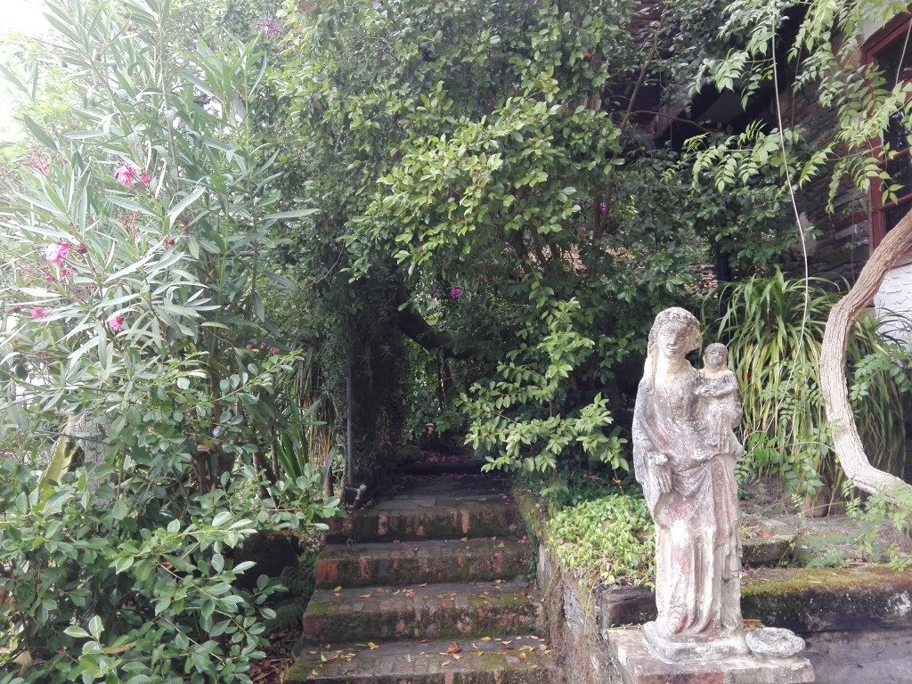 Jardín botánico Fundación Sales 17