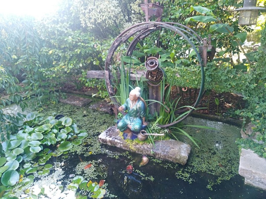 Jardín botánico Fundación Sales - Foto 18