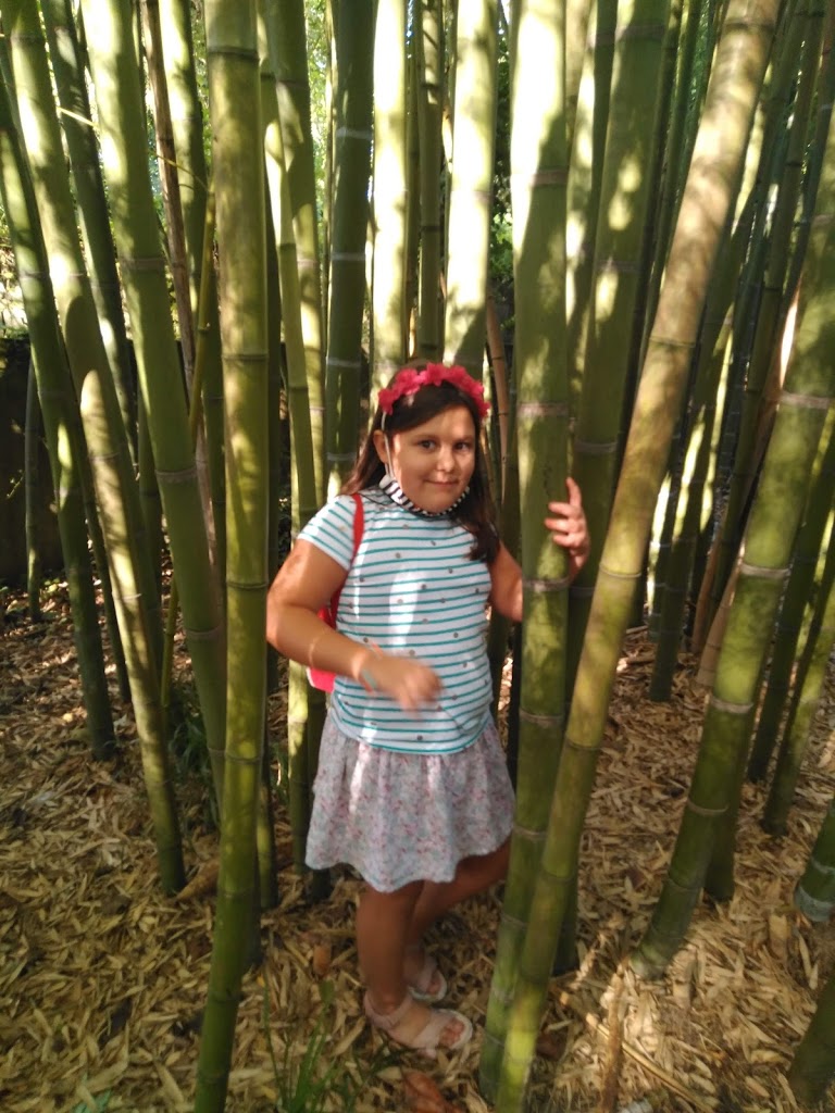 Jardín botánico Fundación Sales - Foto 1