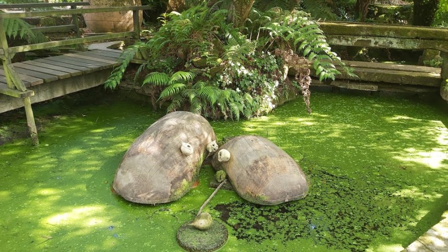 Jardín botánico Fundación Sales - Foto 25