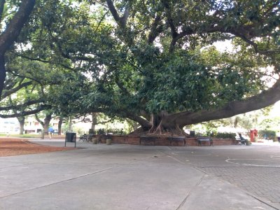 Plaza Vicente López y Planes