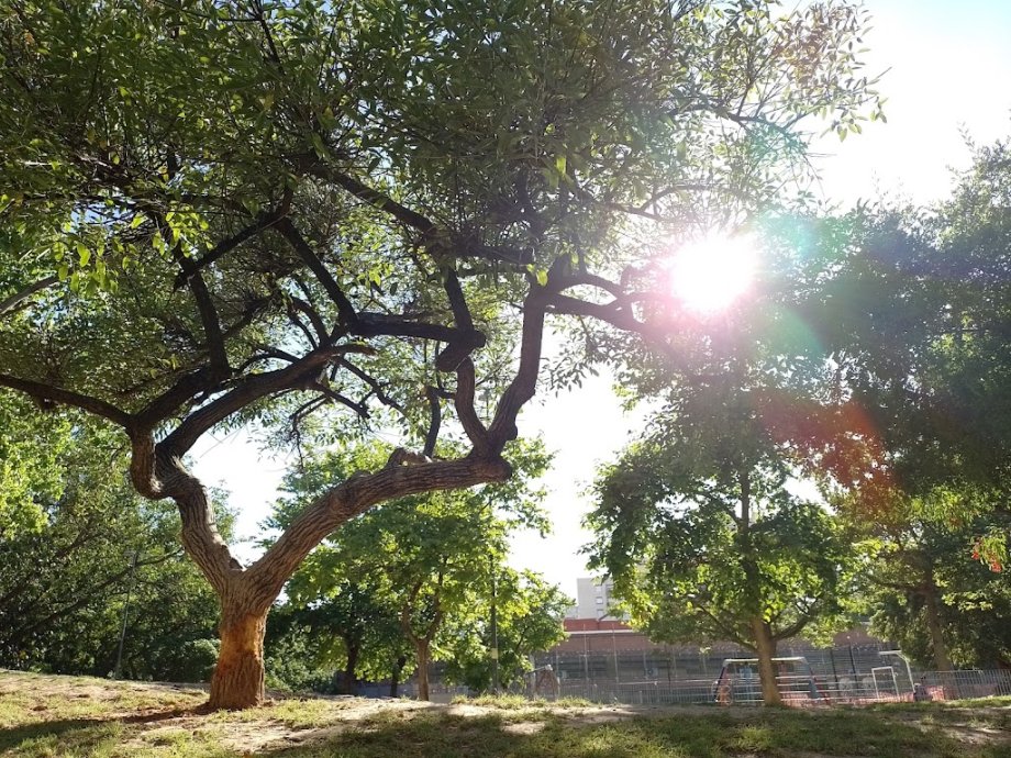 Plaza Velasco Ibarra - Foto 4