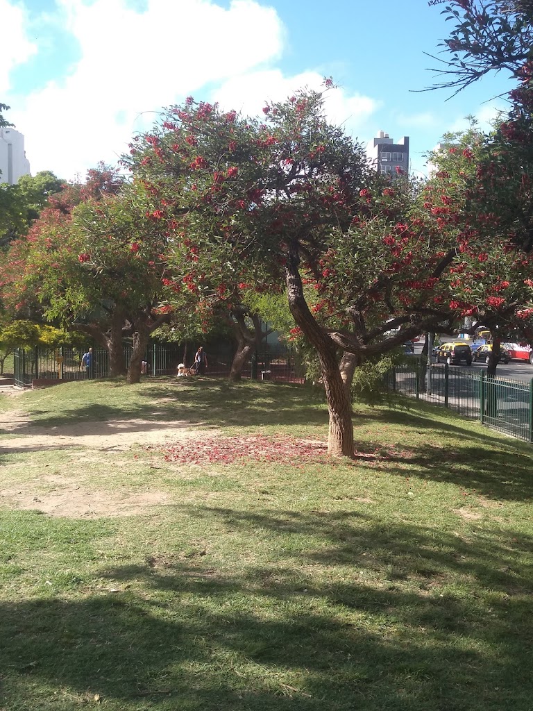 Plaza Velasco Ibarra - Foto 6