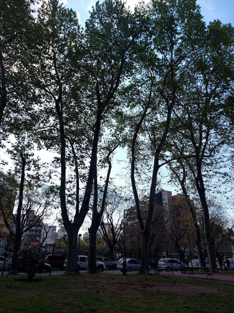 Plaza Larrazabal - Foto 9