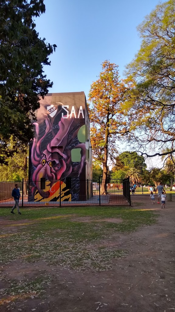 Parque Saavedra - Foto 4