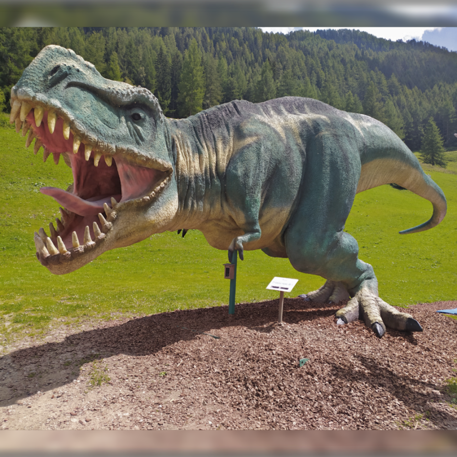 Family Park Klausberg - Foto 2