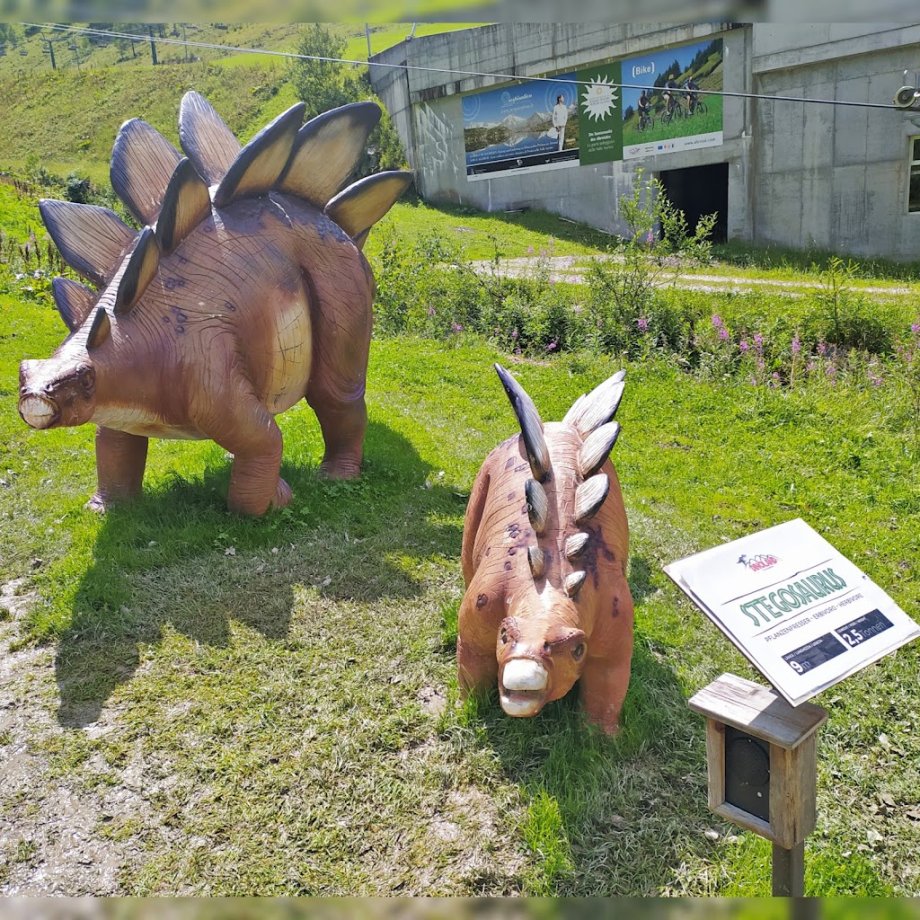 Family Park Klausberg - Foto 5