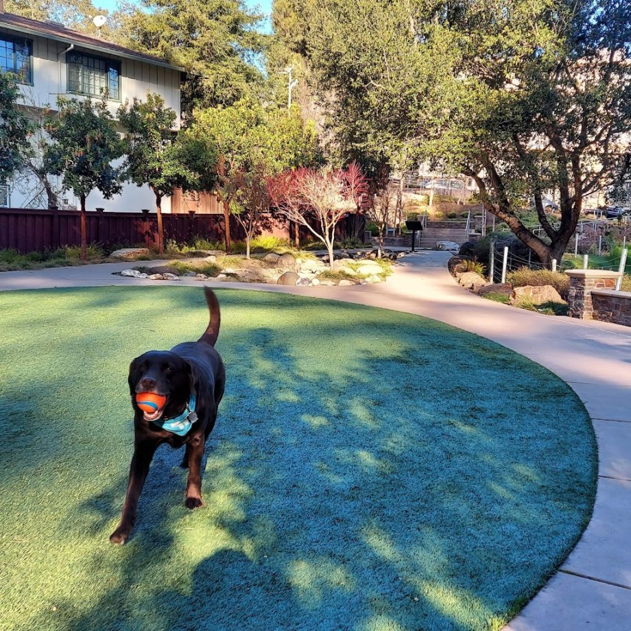 Davey Glen Park - Foto 2