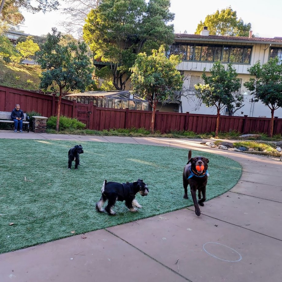 Davey Glen Park - Foto 5