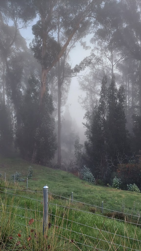 Davey Glen Park - Foto 7