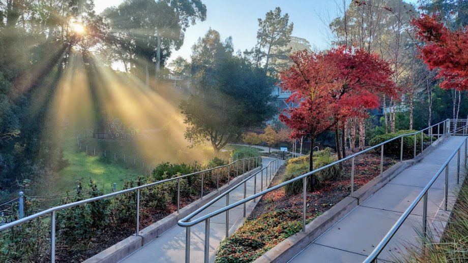 Davey Glen Park - Foto 8