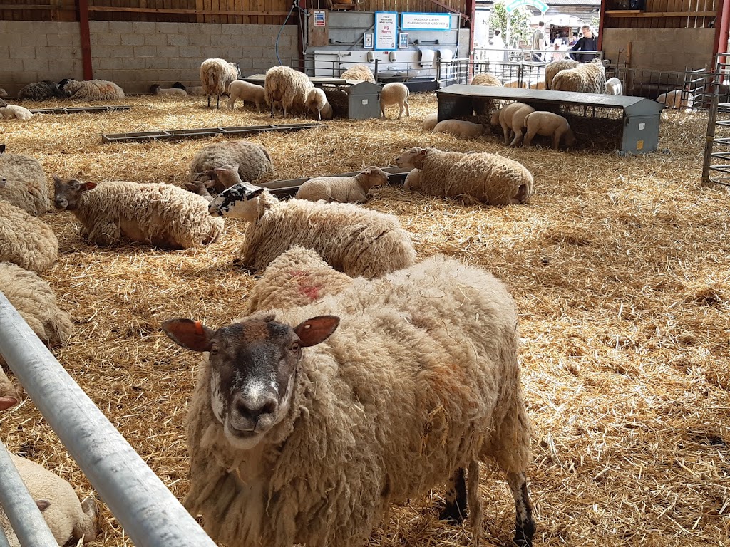 Mead Open Farm - Foto 1