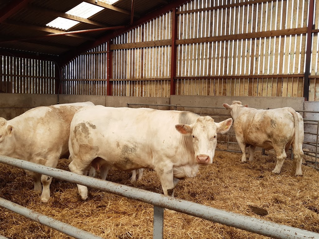 Mead Open Farm - Foto 1