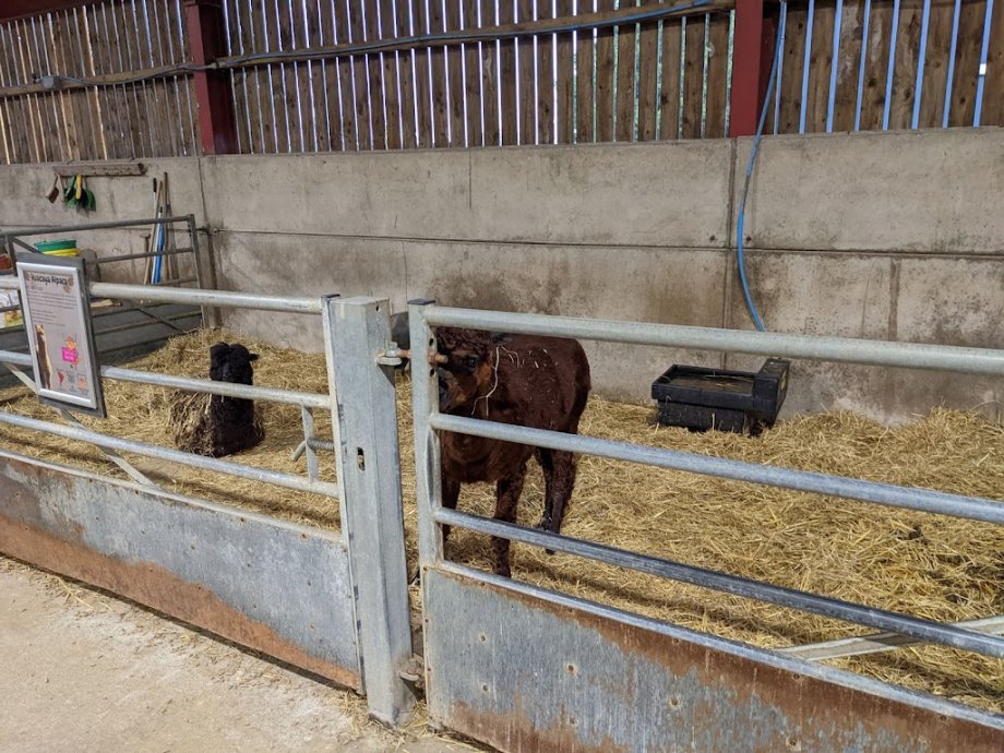 Mead Open Farm - Foto 10