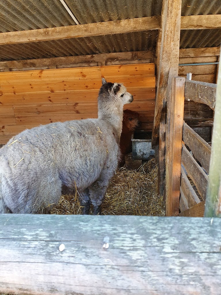 Mead Open Farm - Foto 1