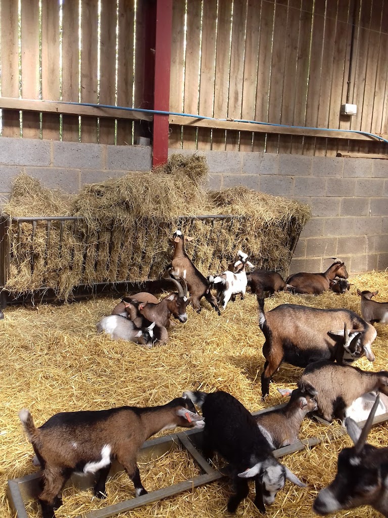 Mead Open Farm - Foto 13