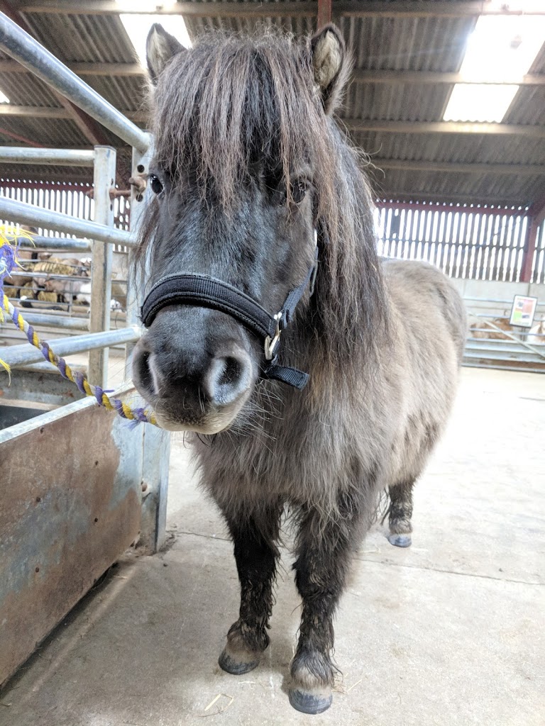 Mead Open Farm - Foto 14