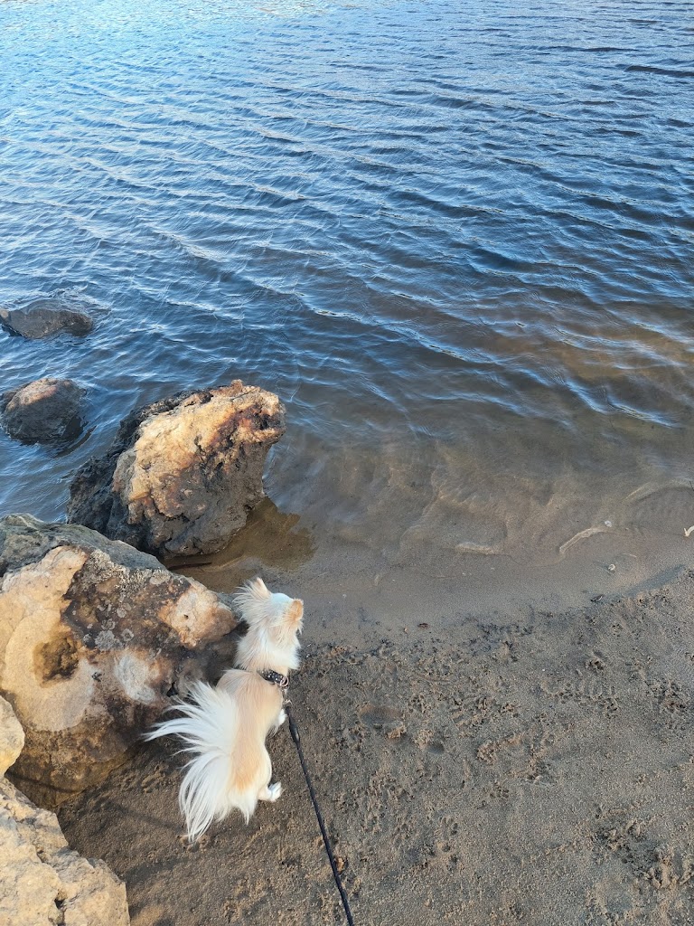 Sandy Beach Reserve - Foto 1