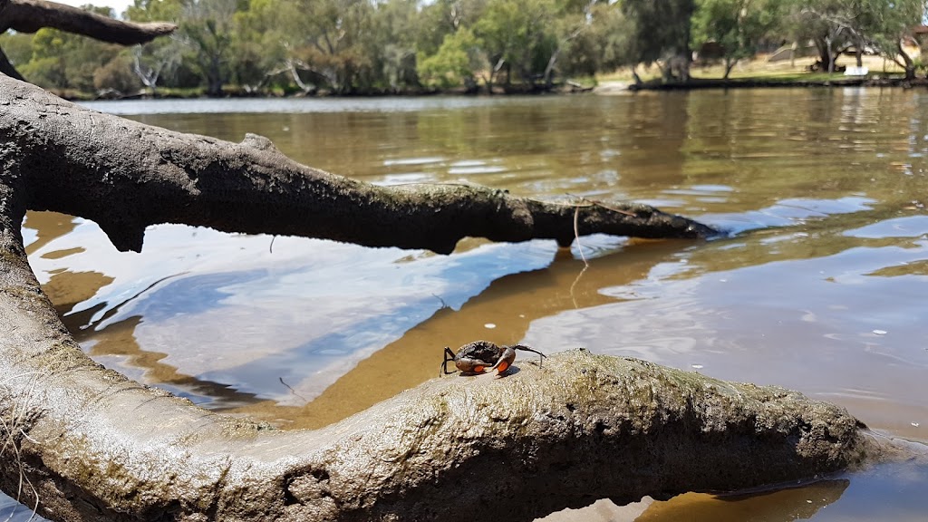 Sandy Beach Reserve - Foto 1