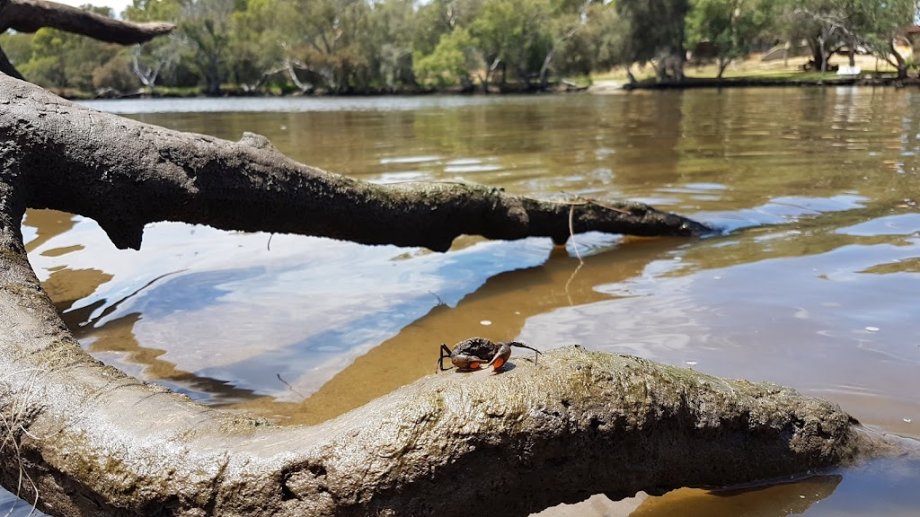 Sandy Beach Reserve - Foto 9