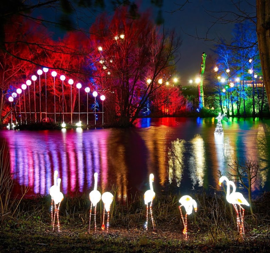 Stockeld Park - Foto 3