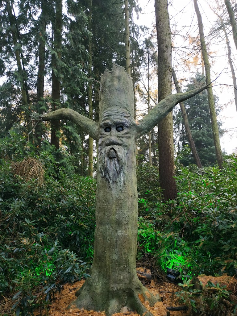 Stockeld Park - Foto 4