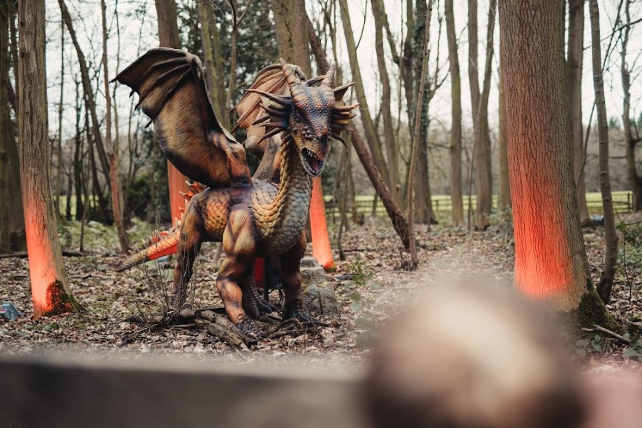 Stockeld Park - Foto 5