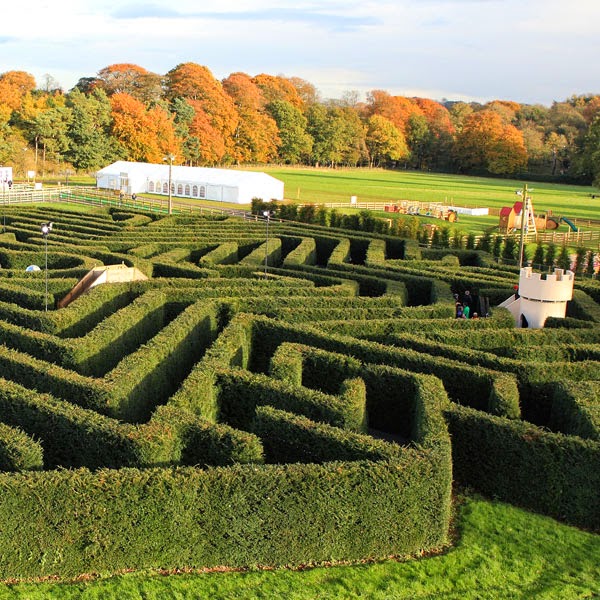 Stockeld Park - Foto 1