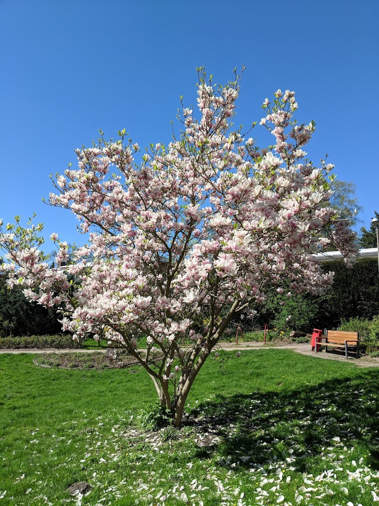 Minigolf Wedel - Foto 1