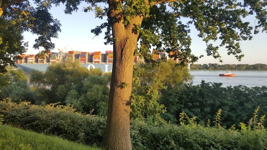 Spielplatz Hellgrund - Foto 6