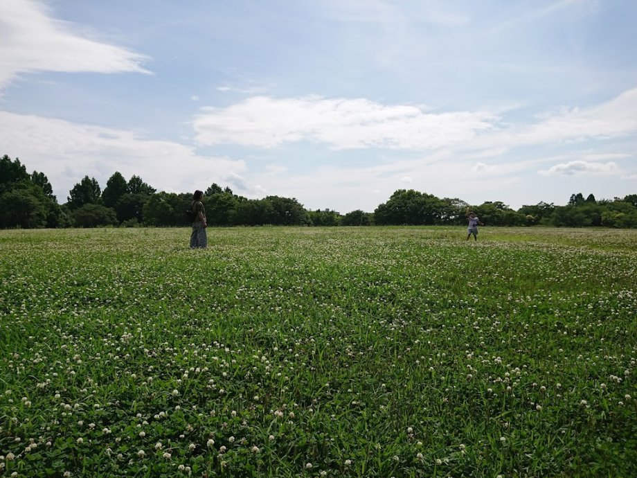 Mahoroba Health Park - Foto 6