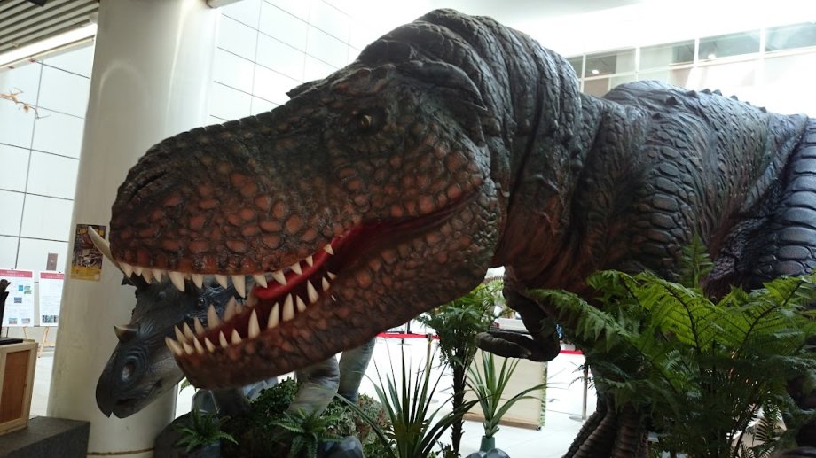 Itabashi Science and Education Museum - Foto 6