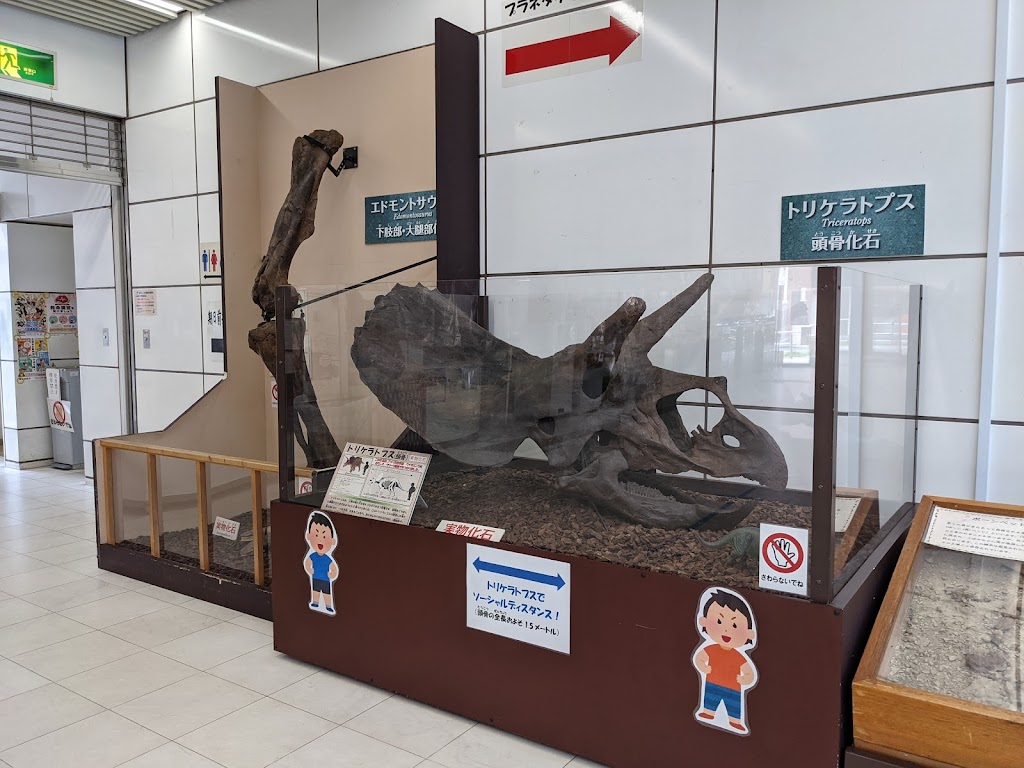 Itabashi Science and Education Museum - Foto 1