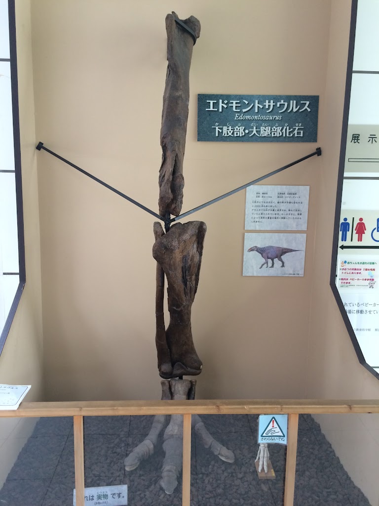 Itabashi Science and Education Museum - Foto 1