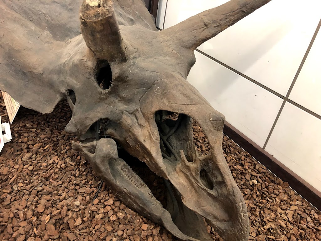 Itabashi Science and Education Museum - Foto 1