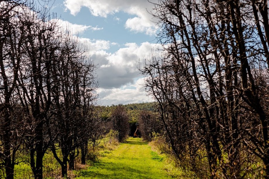 Core Cider - Foto 14