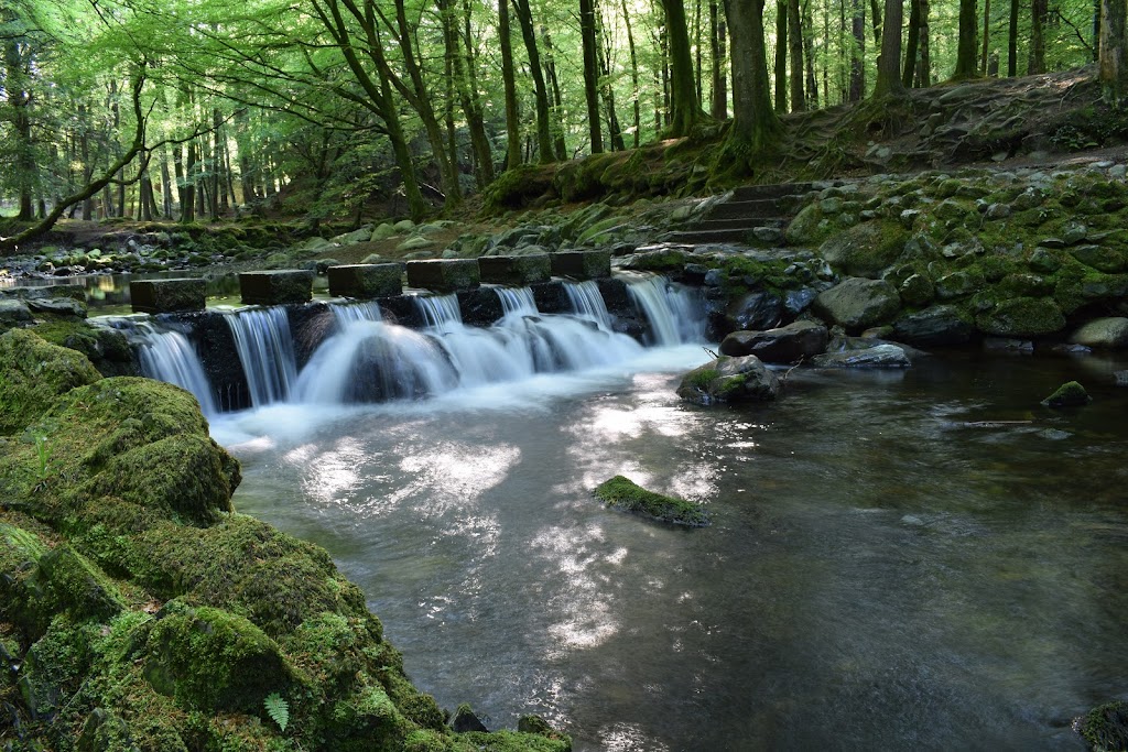 Tollymore Forest Park 5