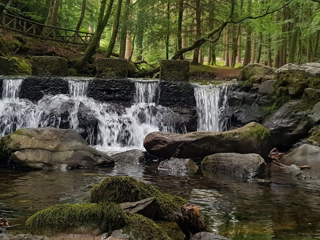 Tollymore Forest Park 6