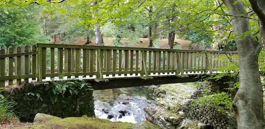 Tollymore Forest Park 8
