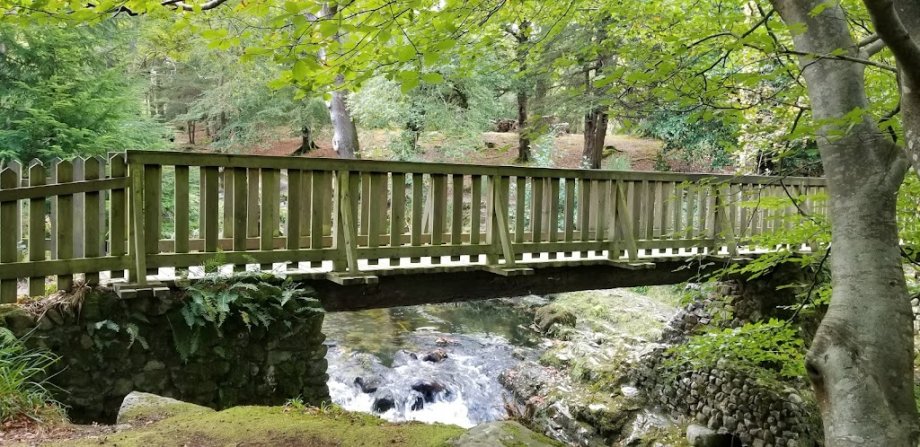 Tollymore Forest Park - Foto 8