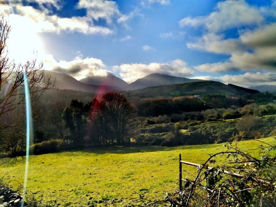 Tollymore Forest Park - Foto 10