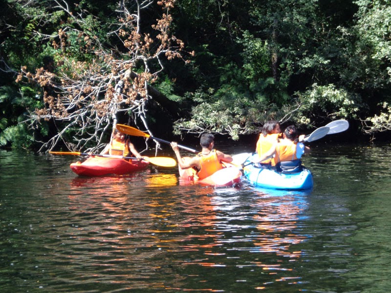 Ecoparque Atalaia - Foto 1