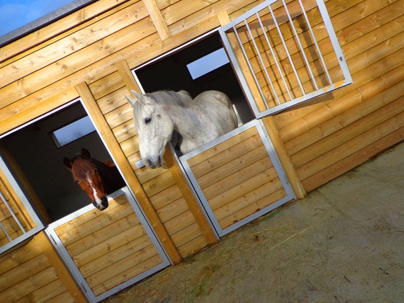 Ecoparque Atalaia - Foto 6