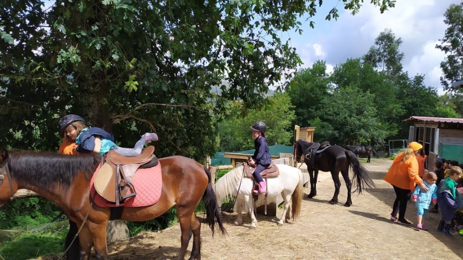 Ecoparque Atalaia - Foto 12