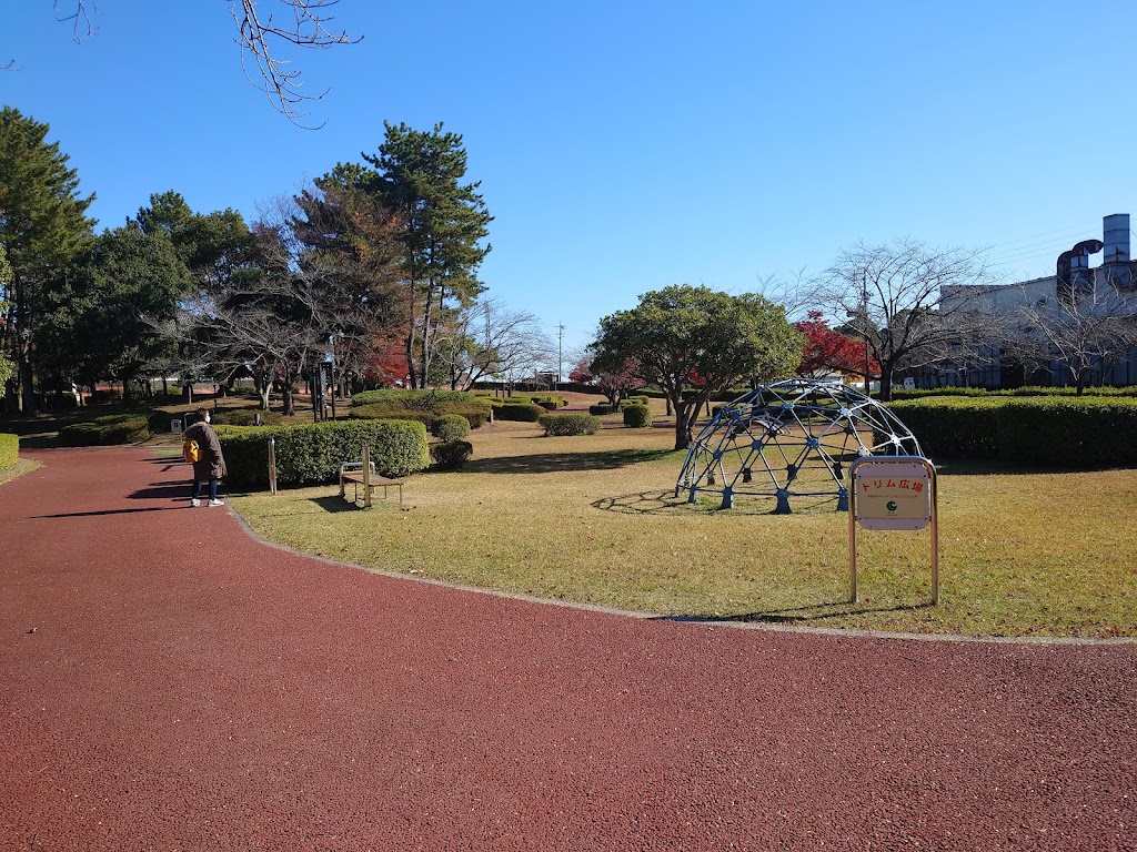 Kisogawa Sobue Ryokuchi Greens Park - Foto 1
