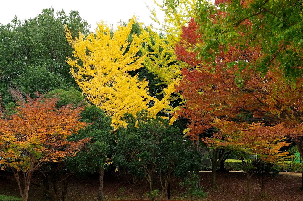 冒険広場 - Foto 1